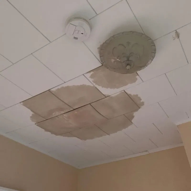 Ceiling Water Damage Repair in Newark, OH