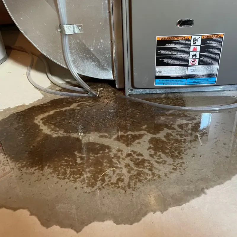 Pipe Burst and Leak Restoration in Newark, OH