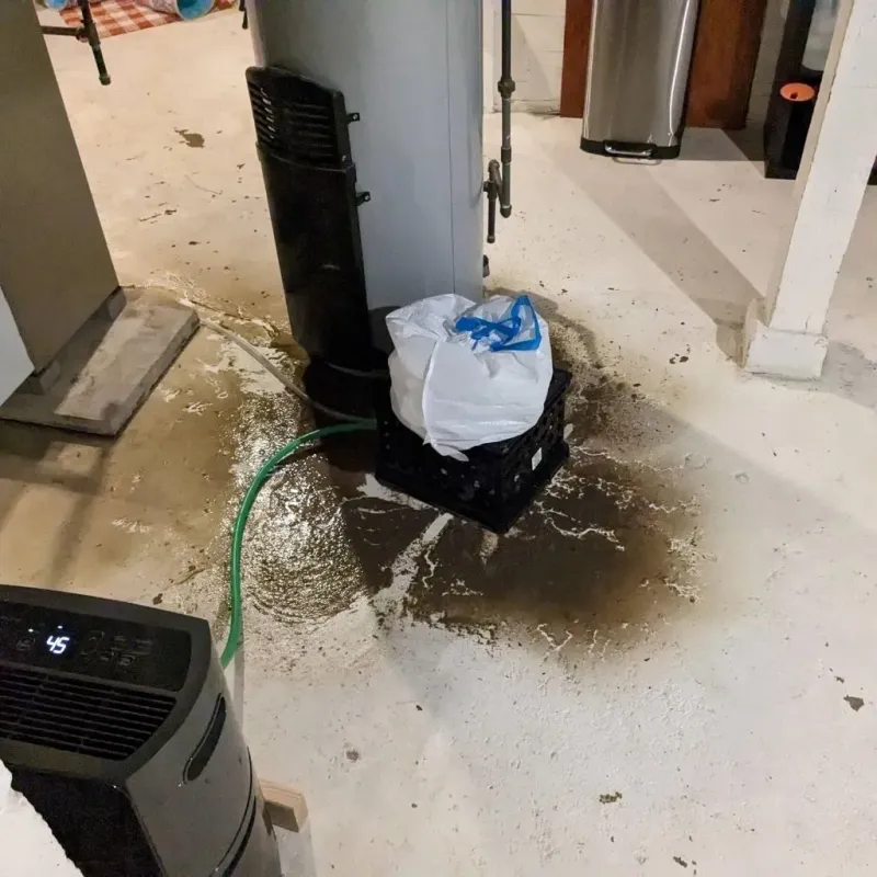 Sewage Backup Cleanup Service in Newark, OH